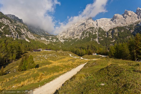 Near Corsi Hut, Alps, Italy