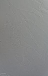 Control image (no filters)